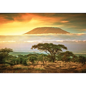 Пазл "Пейзаж Кіліманджаро" 1000 елементів C1000-10-03