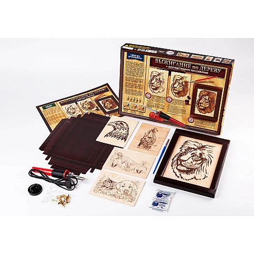 Набір для пірографії WD-01-02: висока якість, різноманітні насадки