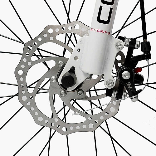 Велосипед 2-х колісний 20" "CORSO" TG-20574 "TAYGER"